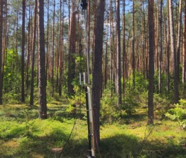 Automatic antenna head testing